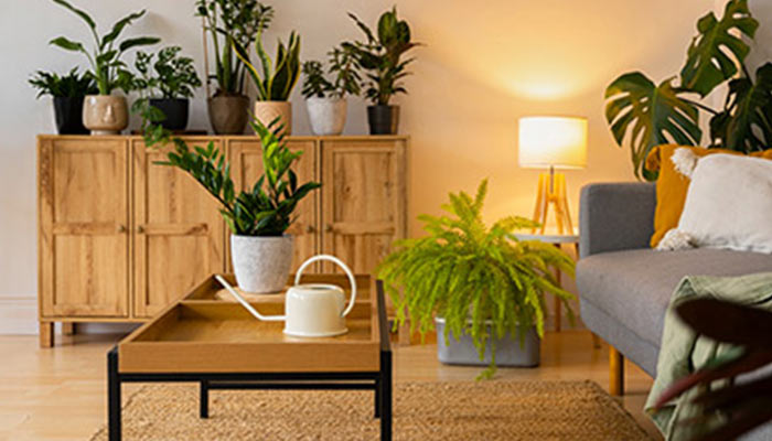 Appartements S+3